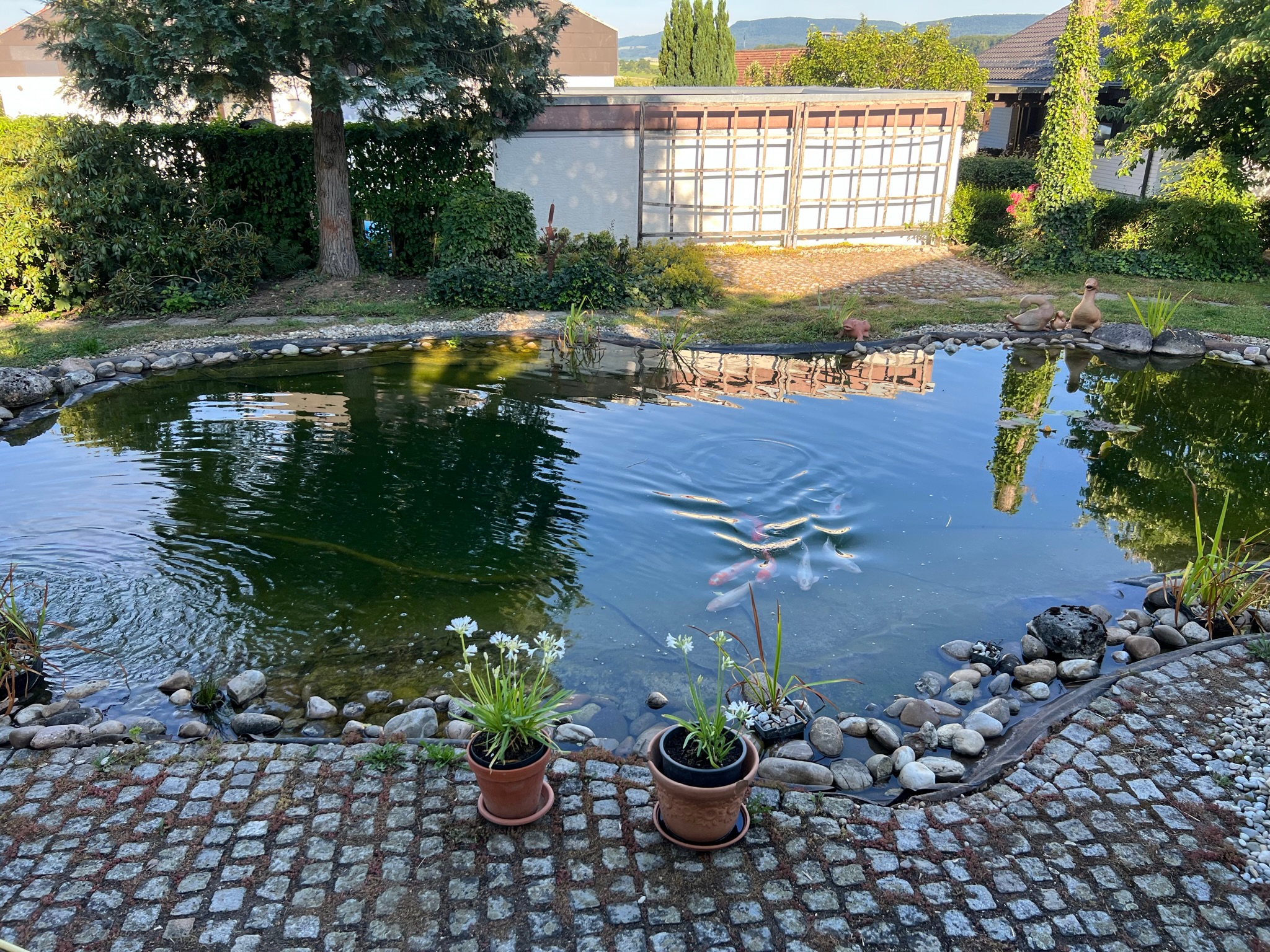 Teichbau im eigenen Heim